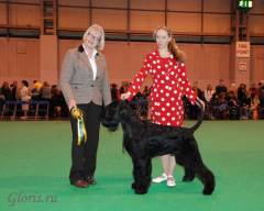 Crufts-2009 BOB Winner Gloris Total Control, Ms Natalia Trots ans Mrs D A Kenis Pordham