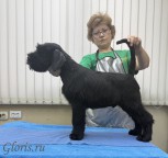 ������ ������