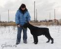 Файл=GLR_0866.jpg
Объём=117KB
Размеры=1000x800
Дата=Фев 01, 2010 GLR_0866.jpg