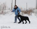 Файл=GLR_0907.jpg
Объём=111KB
Размеры=1000x800
Дата=Фев 01, 2010 GLR_0907.jpg