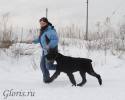 Файл=GLR_0913.jpg
Объём=109KB
Размеры=1000x800
Дата=Фев 01, 2010 GLR_0913.jpg