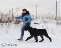 Файл=GLR_0914.jpg
Объём=108KB
Размеры=1000x800
Дата=Фев 01, 2010 GLR_0914.jpg