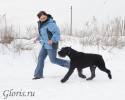 Файл=GLR_0934.jpg
Объём=109KB
Размеры=1000x800
Дата=Фев 01, 2010 GLR_0934.jpg