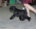 Файл=DSC_0012.jpg
Объём=412KB
Размеры=1000x800
Дата=Фев 16, 2009 DSC_0012.jpg