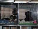 Файл=DSC_0018.jpg
Объём=724KB
Размеры=1040x800
Дата=Июнь 12, 2008 DSC_0018.jpg