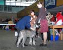 Файл=DSC_0034.jpg
Объём=634KB
Размеры=1000x800
Дата=Фев 16, 2009 DSC_0034.jpg