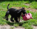 Файл=DSC_0048.jpg
Объём=758KB
Размеры=1040x800
Дата=Июнь 12, 2008 DSC_0048.jpg