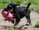 Файл=DSC_0049.jpg
Объём=524KB
Размеры=1040x800
Дата=Июнь 12, 2008 DSC_0049.jpg
