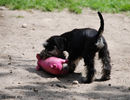 Файл=DSC_0050.jpg
Объём=578KB
Размеры=1040x800
Дата=Июнь 12, 2008 DSC_0050.jpg
