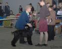 Файл=DSC_0053.jpg
Объём=550KB
Размеры=1000x798
Дата=Фев 16, 2009 DSC_0053.jpg
