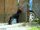 Файл=DSC_0055.jpg
Объём=849KB
Размеры=1040x800
Дата=Июнь 12, 2008 DSC_0055.jpg