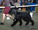 Файл=DSC_0057.jpg
Объём=568KB
Размеры=1000x800
Дата=Фев 16, 2009 DSC_0057.jpg
