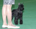 Файл=DSC_0060.jpg
Объём=444KB
Размеры=1000x800
Дата=Янв 31, 2009 DSC_0060.jpg