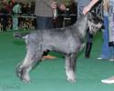 Файл=DSC_0075.jpg
Объём=552KB
Размеры=1000x800
Дата=Янв 31, 2009 DSC_0075.jpg