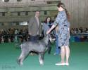 Файл=DSC_0076.jpg
Объём=583KB
Размеры=1000x800
Дата=Янв 31, 2009 DSC_0076.jpg