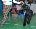 Файл=DSC_0085.jpg
Объём=557KB
Размеры=1000x800
Дата=Янв 26, 2009 DSC_0085.jpg