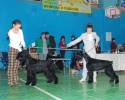 Файл=DSC_0088~0.jpg
Объём=636KB
Размеры=1000x800
Дата=Янв 26, 2009 DSC_0088~0.jpg