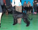 Файл=DSC_0091.jpg
Объём=619KB
Размеры=1000x800
Дата=Янв 26, 2009 DSC_0091.jpg