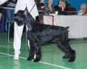 Файл=DSC_0092.jpg
Объём=579KB
Размеры=1000x800
Дата=Янв 26, 2009 DSC_0092.jpg