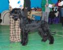 Файл=DSC_0093.jpg
Объём=612KB
Размеры=1000x800
Дата=Янв 26, 2009 DSC_0093.jpg