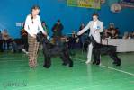 Файл=DSC_0095.jpg
Объём=566KB
Размеры=1000x669
Дата=Янв 26, 2009 DSC_0095.jpg