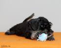 Файл=DSC_0096.jpg
Объём=369KB
Размеры=1000x800
Дата=Янв 05, 2009 DSC_0096.jpg