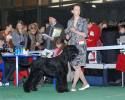 Файл=DSC_0101.jpg
Объём=646KB
Размеры=1000x800
Дата=Янв 31, 2009 DSC_0101.jpg