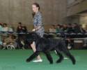 Файл=DSC_0104.jpg
Объём=441KB
Размеры=1000x800
Дата=Янв 31, 2009 DSC_0104.jpg