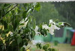 Файл=DSC_0110.JPG
Объём=327KB
Размеры=1792x1200
Дата=Июль 10, 2008 DSC_0110.JPG