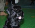 Файл=DSC_0112.jpg
Объём=520KB
Размеры=1000x800
Дата=Янв 26, 2009 DSC_0112.jpg