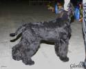 Файл=DSC_0124.jpg
Объём=491KB
Размеры=1000x800
Дата=Фев 16, 2009 DSC_0124.jpg