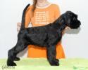 Файл=DSC_0128.jpg
Объём=483KB
Размеры=1000x800
Дата=Янв 05, 2009 DSC_0128.jpg