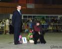 Файл=DSC_0132~0.jpg
Объём=611KB
Размеры=1000x800
Дата=Фев 16, 2009 DSC_0132~0.jpg
