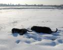 Файл=DSC_0143~0.jpg
Объём=519KB
Размеры=1000x800
Дата=Фев 05, 2009 DSC_0143~0.jpg