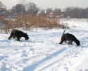 Файл=DSC_0144.jpg
Объём=634KB
Размеры=1000x800
Дата=Фев 05, 2009 DSC_0144.jpg