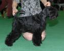 Файл=DSC_0152.jpg
Объём=557KB
Размеры=1000x800
Дата=Янв 31, 2009 DSC_0152.jpg