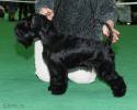 Файл=DSC_0163.jpg
Объём=626KB
Размеры=1000x800
Дата=Янв 31, 2009 DSC_0163.jpg