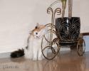 DSC_0179~1.jpg