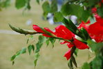 Файл=DSC_0201.JPG
Объём=216KB
Размеры=1792x1200
Дата=Июль 10, 2008 DSC_0201.JPG