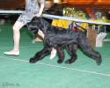 Файл=DSC_0203.jpg
Объём=584KB
Размеры=1000x800
Дата=Янв 31, 2009 DSC_0203.jpg