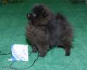 Файл=DSC_0211.jpg
Объём=657KB
Размеры=1000x800
Дата=Янв 31, 2009 DSC_0211.jpg