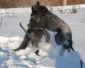 Файл=DSC_0214.jpg
Объём=579KB
Размеры=1000x800
Дата=Фев 05, 2009 DSC_0214.jpg