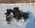 Файл=DSC_0221.jpg
Объём=598KB
Размеры=1000x800
Дата=Фев 05, 2009 DSC_0221.jpg
