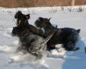 Файл=DSC_0222.jpg
Объём=600KB
Размеры=1000x800
Дата=Фев 05, 2009 DSC_0222.jpg
