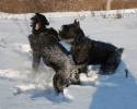 Файл=DSC_0223.jpg
Объём=613KB
Размеры=1000x800
Дата=Фев 05, 2009 DSC_0223.jpg