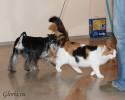 Файл=DSC_0232.jpg
Объём=458KB
Размеры=1000x800
Дата=Янв 14, 2009 DSC_0232.jpg