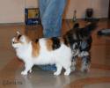 Файл=DSC_0233.jpg
Объём=511KB
Размеры=1000x800
Дата=Янв 14, 2009 DSC_0233.jpg