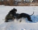 Файл=DSC_0234~0.jpg
Объём=634KB
Размеры=1000x800
Дата=Фев 05, 2009 DSC_0234~0.jpg