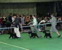 Файл=DSC_0248~0.jpg
Объём=549KB
Размеры=1000x800
Дата=Фев 01, 2009 DSC_0248~0.jpg