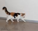 Файл=DSC_0249.jpg
Объём=345KB
Размеры=1000x800
Дата=Янв 14, 2009 DSC_0249.jpg